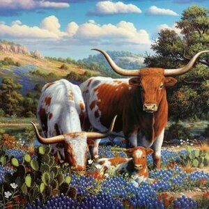 Ravensburger 500 piece loving longhorn puzzle